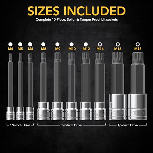 LEXIVON XZN Triple Square Spline Bit Socket Set, Extra Long 4-Inch | 10-Piece European Style M4 - M18, Premium S2 Alloy Steel | Enhanced Storage Case (LX-145L) - size: Extra Long 4-inch