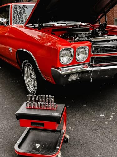 Westling USA Premium Aluminum Starter 8 Piece Socket Tray/Organizer Set, Holds 152 Standard and Metric Sockets (Red/Purple, 2 Row) - color: Red/Purple, size: 2 Row