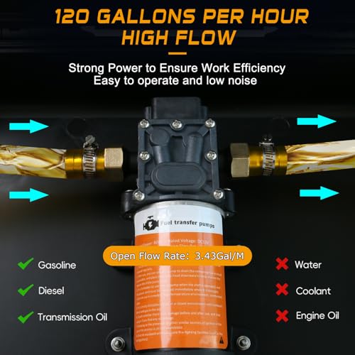 12V Fuel Transfer Pump Moves 120 Gallons of Gas or Diesel Per Hour. With Car Cigarette Lighter Plug, Battery Clip and Upgraded Carrying Case, for UTVs, Vehicles, Boats, Equipment.(80W) - color: 120Gal/hr