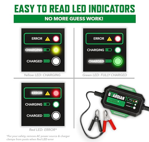 Interstate Batteries 12V Battery Charger and Maintainer (12V, 1.2A) Portable, Automatic, Trickle Charging for Automotive, AGM, Flooded, Gel, Lead-Acid, Powersports (CHGIB12)