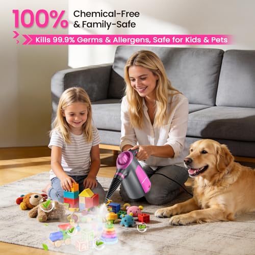 Steam Cleaner, Pressurized Handheld Multi-Surface Natural Steam Cleaner with 12pcs Accessory & Safety Lock, Portable Steamer for Cleaning Home, Kitchen, Bathroom, Car, Upholstery, Grout, Window - color: Grey