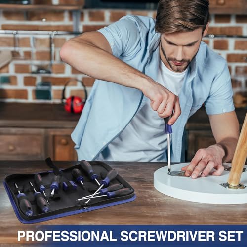 WORKPRO 10-Piece Magnetic Screwdriver Set with Pouch, Phillips, Slotted, Flat Head Screwdriver Include Magnetizer, Screwdriver with Non-Slip Grip, for Home Repair and DIY Projects