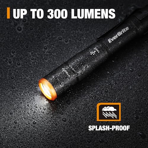 EverBrite Mini Pen Light, Rechargeable Pocket Pen Flashlight with USB C Cable, 4 Light Modes, 300 Lumens Small Flashlight with Clip for Inspection, Repair, Outdoors, Emergency, Black - color: Black