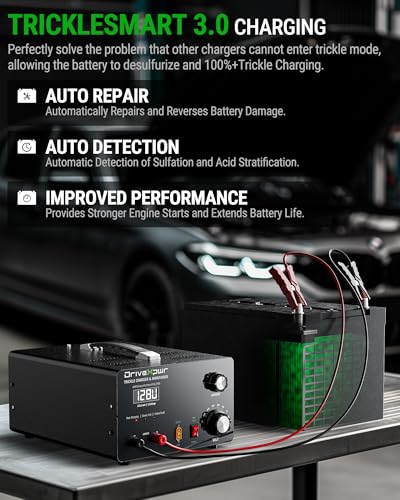 Adjustable Battery Charger 6V 8V 12V 24V 36V 48V 60V 72V 84V 96V,18A Automatic Battery Maintainer,Battery Desulfator Maintainer for Lead-Acid LiFePO4 Lithium,Suit Automotive Golf Cart Truck Mower(X50)