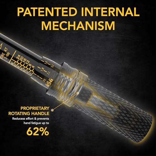 LEXIVON Bike Torque Wrench 1/4-Inch Dr. 15-Piece Kit | 72-Tooth Gear, Dual-Direction Click Type 2~26 Nm / 17.7~230.1 in-lb (LX-191) - style: Bike Torque wrench kit