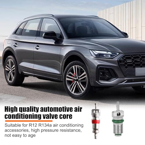 HZEL 102PCS Car Air Conditioning Valve Core Accessories Kit, R12 R134a Vehicle A/C Refrigeration Tire Valve Stem with Remover Installer, Automotive Valve Spool Repair Tool Assortment Set