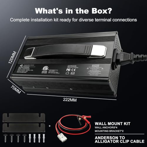 24V 20A LiFePO4 Battery Charger, 29.2V Smart Lithium Charger with Anti-Spark Technology & 0V Wake-Up, Active PFC for Off-Grid Systems, Includes Wall Mount Bracket & Adapter - size: 24v 20a