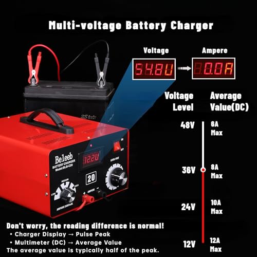 C20 Adjustable Battery Charger 12V 24V 36V 48V, 12A Pulses of High-Voltage Battery Desulfator Maintainer with Smart Chip for Lead-Acid LiFePO4 Lithium Batteries BLB-C20