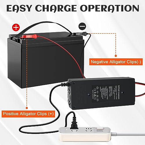 12V 3A Lithium Battery Charger 14.6V LiFePO4 Battery Charger, Battery Maintainer, Smart Charger with LED Indicator Cooling Fan for 12.8V Lithium Iron Phosphate Battery