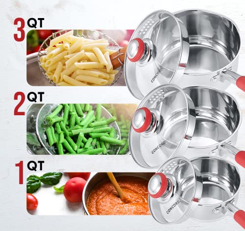 Concord 2 Quart Stainless Steel Saucepan with SIMPLE POUR Vented Glass Lid. Features Dual Pouring Spouts and Volume Marking. Perfect for making Sauces, Jam, Ramen, and more - size: 2 QT