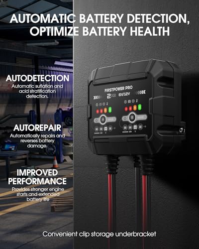 2-Bank, 4A (2A/Bank) Trickle Charger for Car Battery, 12V 6V Car Battery Charger, Automotive Battery Trickle Charger, Maintainer, for Motorcycle Lawn Mower AGM, Lithium Batteries