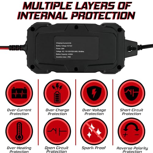 Banshee 12V/6V 2A Automatic Trickle Battery Charger Maintainer for Normal Lead Acid, Sealed, Leisure, AGM, Gel, Deep-Cycle or 12V-Lithium (LiFePO4) Batteries, with IP65 Waterproof