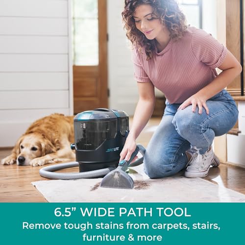 Kenmore Portable Carpet & Upholstery Spot Cleaner Machine 17Kpa Suction | with Versatile Tools for Pet, Couches, Car and Auto Detailer, Black -KW2001.01 - color: Black