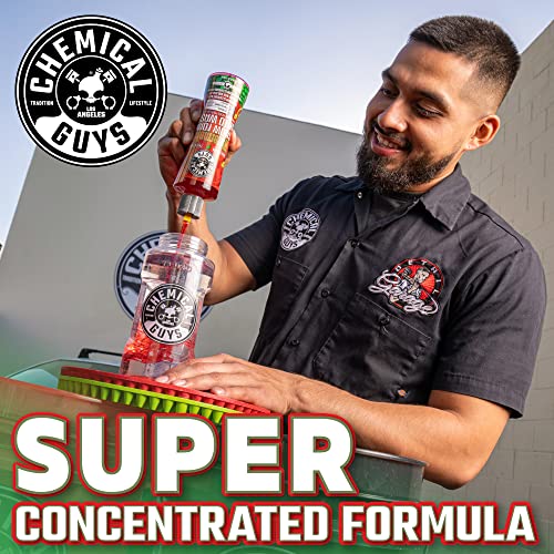 Chemical Guys CWS20816 Watermelon Snow Foam Car Wash Soap, (Works with Foam Cannons or Bucket Washes) Safe for Cars, Trucks, Motorcycles, RVs & More, 16 fl oz, Watermelon Scent - size: 16 Fl Oz (Pack of 1), style: SOAP