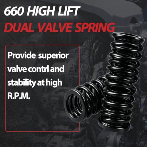 Gen III/IV LS 660" Dual Valve Spring Platinum Kit with Retainers | Fit For LS1 LS2 LS3 LS4 LS6 L76 L92 L99 L33 LSA LQ4 LQ9 5.3L 5.7L 6.0L 6.2L OE#SK001 - color: For GM 5.3L 5.7L 6.0L 6.2L