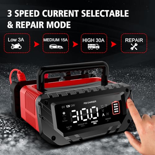 30 Amp Lithium Battery Charger,6V10A/12V30A/24V16A Lifepo4,Lead-Acid(AGM/Gel/SLA..) Smart Car Battery Charger,Battery Maintainer,Trickle Charger, and Battery Desulfator for Car,Boat,Motorcycle