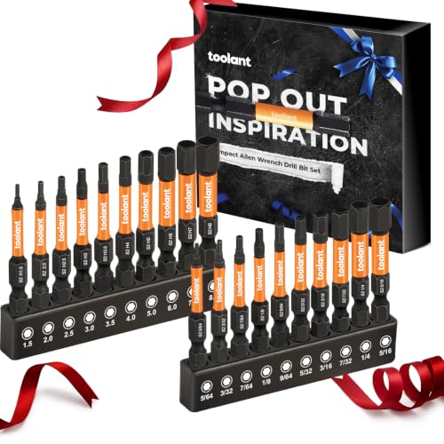 toolant Hex Head Allen Wrench Drill Bits 20pcs Hex Bits for Gifts(Metric&SAE)，Tools Gifts for Men, Birthday Gifts,Stocking Stuffers for Adults Dad Boyfriend Father Husband, S2 Steel Bits Set - size: 20pcs Hex Bits for Gifts