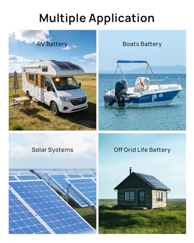 DC House 12V 20A Lithium Battery Charger, 14.6V LiFePO4 Charger with Battery Quick Connector & LED Indicator, Smart 300W Fast Charging for 12V Boat/RV Battery, Solar Systems, Off Grid, Homes