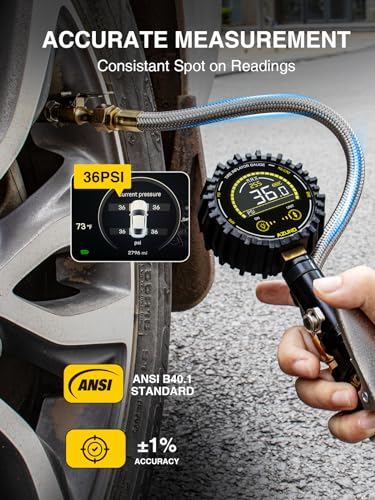 AZUNO Digital Tire Inflator Gauge 255 PSI, Heavy Duty Tire Pressure Gauge with Air Chuck, Steel Braided Hose, Quick Connect Coupler & Case for Truck RV Trailer - size: 255PSI For Truck / RV
