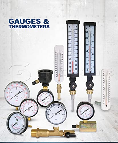 Supply Giant QUL 0-160 PSI Water Pressure Test Kit with Snifter Valve and Swivel Hose Connector, Brass