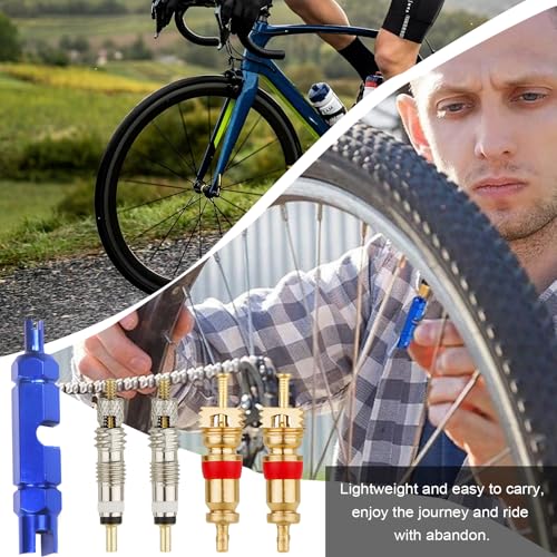 13 PCS Bicycle Valve Core Remover Tool Kit, Metal Bike Valve Cores Replacement with Repair Tightening Tool, Universal Tire Stem Core Kit Compatible with Presta & Schrader Valves