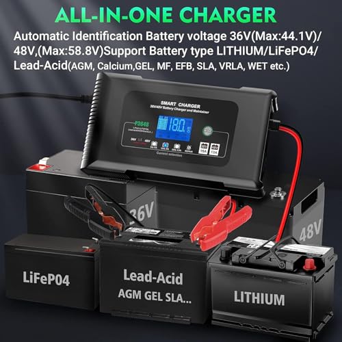 48v EZ-GO RXV TXT Golf Cart Battery Charger, 48V Lithium Lifepo4 Lead-Acid AGM Smart Battery Charger, Maintainer Trickle Charger