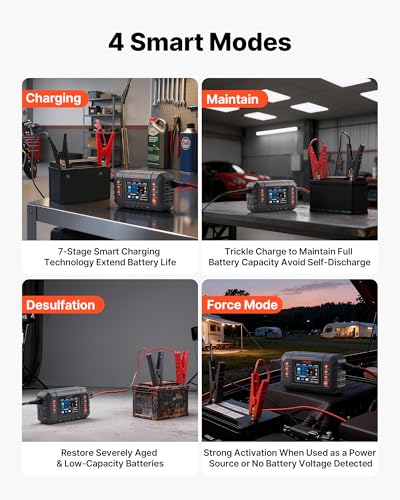 VEVOR Smart Battery Charger, 25A, 6V 12V 24V Ternary Lithium LiFePO4 Lead-Acid (Gel/AGM) Battery Charger, with 3.4-Inch LCD Display, Trickle Charging Maintainer Desulfator, for Car, Boat, Motorcycle - size: 25A