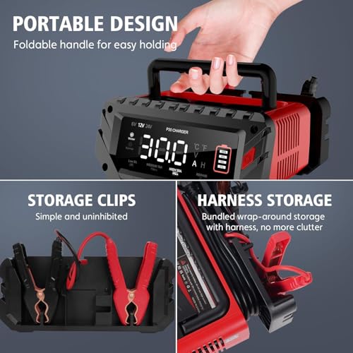 30 Amp Lithium Battery Charger,6V10A/12V30A/24V16A Lifepo4,Lead-Acid(AGM/Gel/SLA..) Smart Car Battery Charger,Battery Maintainer,Trickle Charger, and Battery Desulfator for Car,Boat,Motorcycle