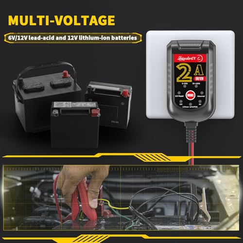 4 Pack Battery Charger 2A 6V 12V, Trickle Charger and Maintainer with Pulse Repair, Automatic Float Charger for Car Motorcycle Boat Lawn Mower ATV RV, 10FT Cable, LiFePO4 Lithium AGM Gel Lead Acid - color: 4 Pack