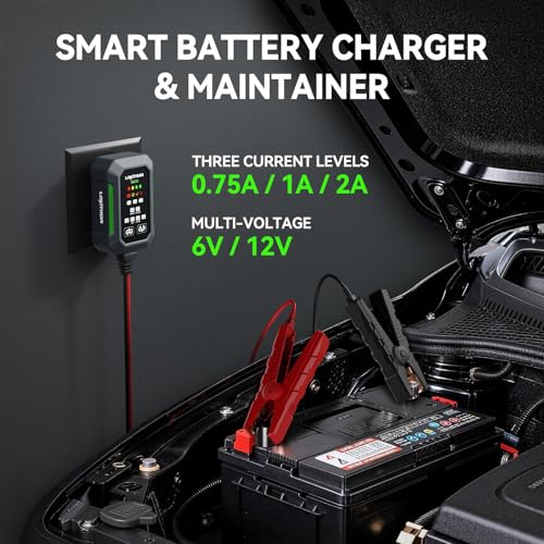 LOKITHOR BC2 Car Battery Charger 2A/1A/750mA Adjustable Currents, 6V/12V Automatic Battery Maintainer, Trickle Charger & Desulfator with Overcharge Protection, Double Pulse Repair, Forced Charging