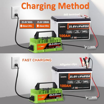 24V/29.2V 25Amp LiFePO4 Battery Charger, IP67 Waterproof 0V Battery Rescue Smart Trickle+Pulse Charger with 2 Anderson Connectors for Car, RV, Boat,Truck,Marine, Solar, and 24V Lithium Batteries - color: 800w 24V 25A Lithium Charger-Green