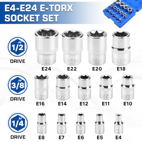 14-Piece Female E-Torx Socket Set, E4-E24 External Star Sockets, 1/4" 3/8" 1/2" Drive, High-Strength Cr-V Steel, Compatible with Regular & E-Torx Plus, Automotive Repair Tool Kit with Storage Case