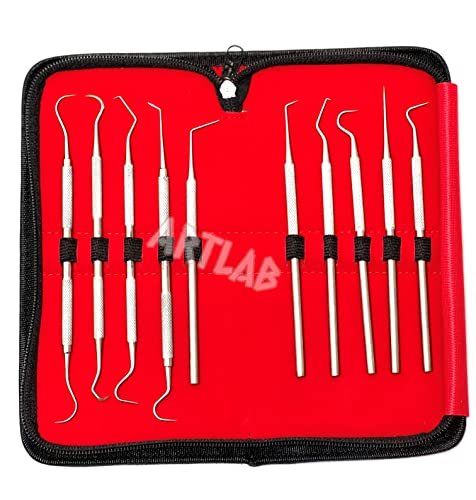 Premium Set of 12 Stainless Steel Precision Micro Probe Set Combo-Straight, Single, Short Double, Long Double, Triple and Hook Tips -Pick Tool Set 5.5"(14CM) (Set of 10 Each)