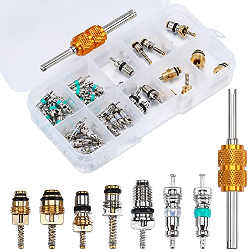 Frienda 56Pcs R134a R12 AC Valve Core Quick Remover Installer Tool Kit, Universal Automotive Air Conditioning Valve Stem Cores Brass Replacement Assortment for Car Refrigeration Tire
