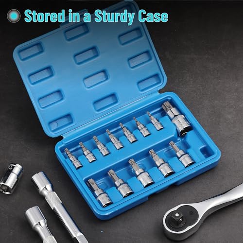 Bates Torx Bit Set - 13 Piece Socket Set, T8-T60, Star & Torx Bits - size: 13 pcs, T8-T60