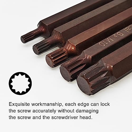 12 Point Torx Screwdriver Bit 10mm Hex Shank 75mm Length H10x75LxM5/M6/M8/M10/M12 Screw Bit(5Pcs)