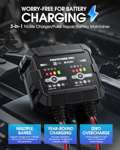 2-Bank, 4A (2A/Bank) Trickle Charger for Car Battery, 12V 6V Car Battery Charger, Automotive Battery Trickle Charger, Maintainer, for Motorcycle Lawn Mower AGM, Lithium Batteries