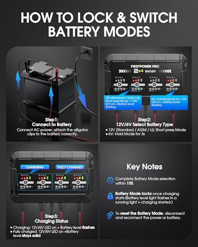 8A 4-Bank Car Battery Charger (2A/Bank) - 6V & 12V Automatic Trickle Charger, Motorcycle Battery Maintainer & Desulfator with Overcharge & Temperature Compensation – for Lead Acid, AGM, Gel, LiFePO4