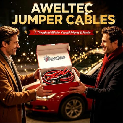 Jumper Cables for Car,8 Gauge 12 Feet Heavy Duty Booster Cable,Quick Connect Automotive Wires with Alligator Clamps,Carrying Bag for Cars Trucks - size: 8 Gauge 12 feet (Standard)