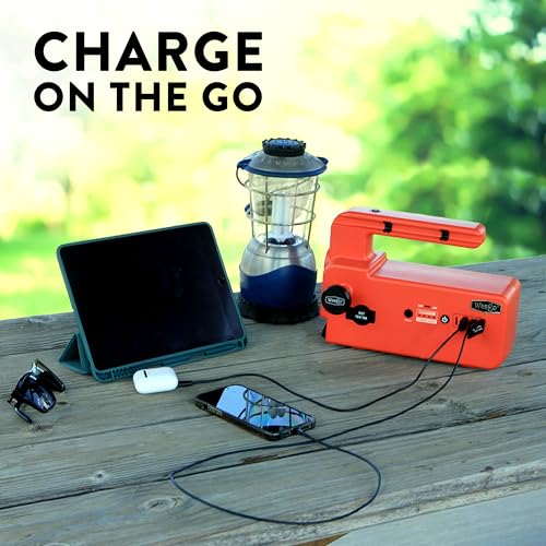Weego 120: 5000A Self-Use 12V Lithium Car Battery Jump Starter - USA-Engineered Safe Replacement for Jumper Cables - Semi Truck & Car Jumper Starter Portable for All Gas and 15L Diesel Engines (C120) - size: Weego 120