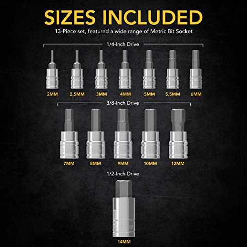 LEXIVON HEX Bit Socket Set, Premium S2 Alloy Steel | 13-Piece Metric 2mm - 14mm Set | Enhanced Storage Case (LX-141) - style: HEX Bit Socket Set