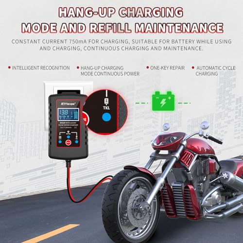 zipelo Car Battery Charger, 6V 12V Automatic Smart Trickle Battery Charger, Intelligent Pulse Repair Charger with ASE Adapter Cable, Battery Desulfator for Motorcycle Lawn Mower Marine