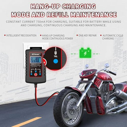 zipelo Car Battery Charger, 6V 12V Automatic Smart Trickle Battery Charger, Intelligent Pulse Repair Charger with ASE Adapter Cable, Battery Desulfator for Motorcycle Lawn Mower Marine