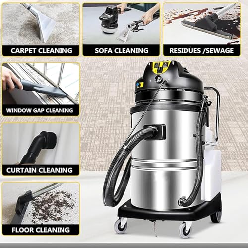 Professional Portable Carpet Cleaning Machine, Heavy-Duty Wet Dry Vacuum Extractor, for Deep Cleaning Carpets, Sofas, Rugs, Car Interiors, Garages 30L - size: 30L