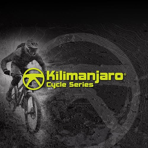 Kilimanjaro 1/4-Inch Drive Click Torque Wrench Set – 2 to 20 Nm Adjustable Range, 14 Bits Included – Precision Bike Maintenance Tool Kit with Storage Case – 910524ECE - style: 2-20Nm