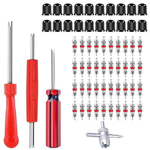 Riseuvo 64Pcs Tire Valve Stem Removal Tool Kit for Cars, Trucks and Bikes | Includes 40Pcs Valve Cores, 20Pcs Valve Caps, 4-Way Valve Tool, Valve Core Remover Tool, Tire Repair Schrader Valve Tool