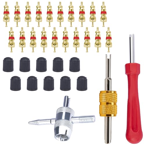 ecocstm 2 PCS Tire Valve Stem Removal Tool with 20 PCS Valve Cores, 10 PCS Tire Valves Caps, 1 PCS 4-Way Valves Tool, Car Accessories Tires Repair Tools Universal for All Cars (33 PCS) - color: 33 PCS
