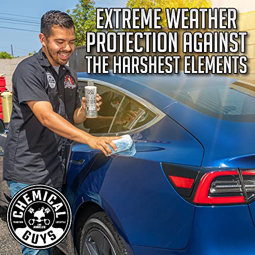Chemical Guys, JetSeal Anti-Corrosion Paint Sealant & Protectant, 16 oz | Durable sealant bonds to paint for high gloss and lasting protection against the elements on cars, trucks and RVs