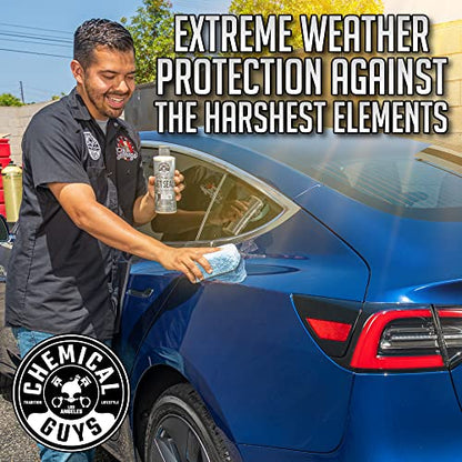 Chemical Guys, JetSeal Anti-Corrosion Paint Sealant & Protectant, 16 oz | Durable sealant bonds to paint for high gloss and lasting protection against the elements on cars, trucks and RVs