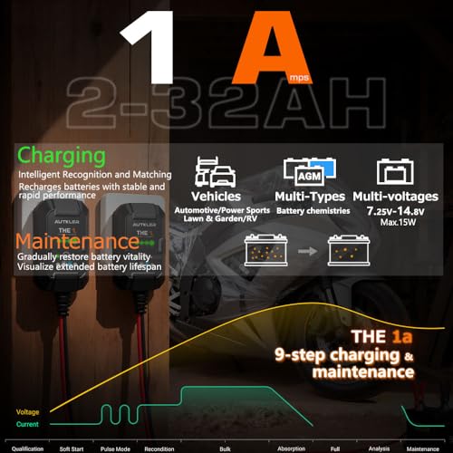 THE1A 6V/12V Smart Battery Charger,Trickle Charger,Desulfator & Automatic Maintainer for Multi-Chemicals Lead-Acid & Lithium Batteries,Temperature Compensation Down -20 °C,IP60